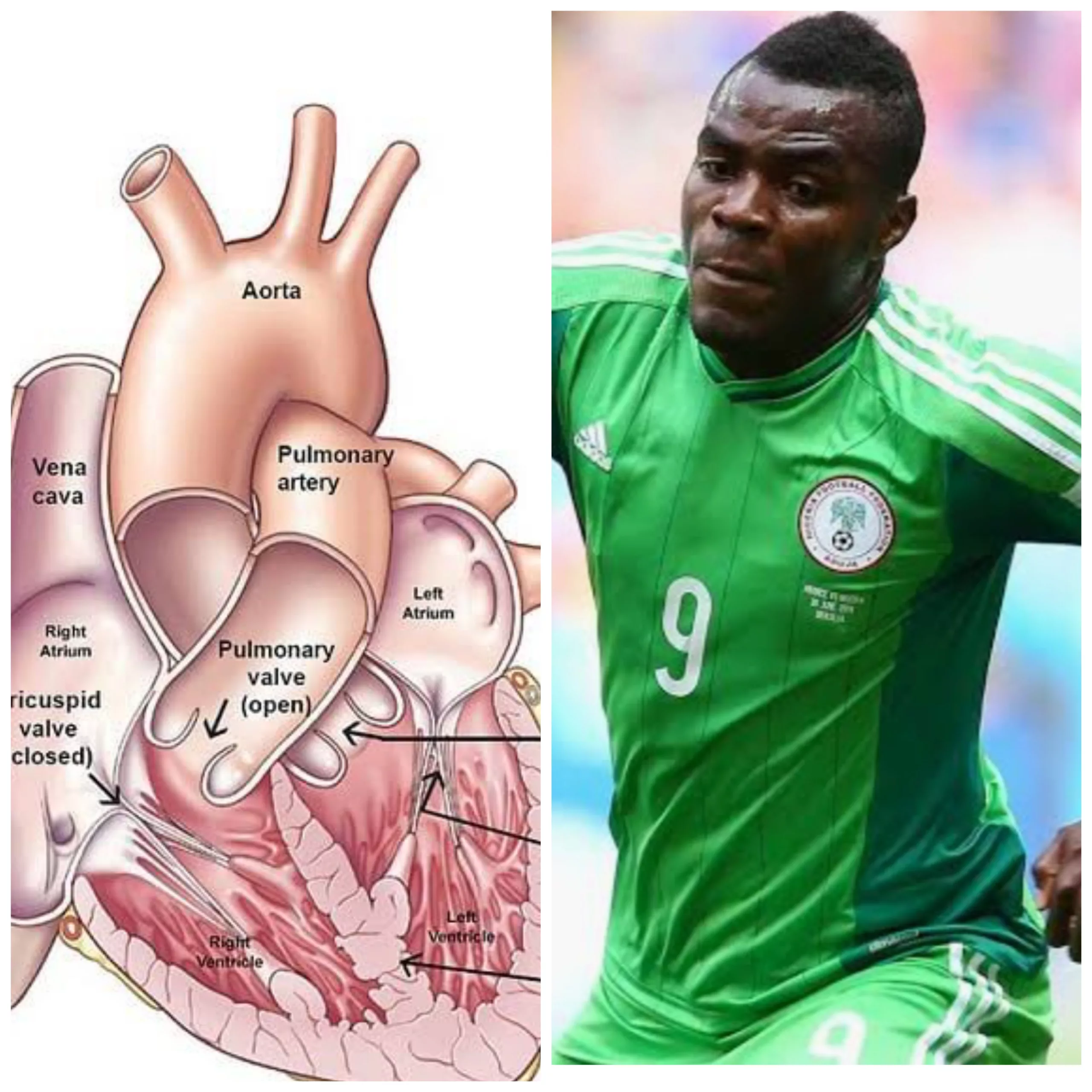 The Function And Structure Of Cardio-Respiratory System During Football Exercise